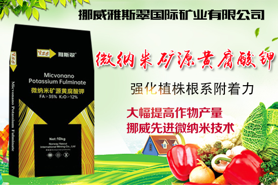 ��Ų����˹�䡿ף�V��(j��ng)�N��2022�껢������H�Қg��������(ji��)�옷��