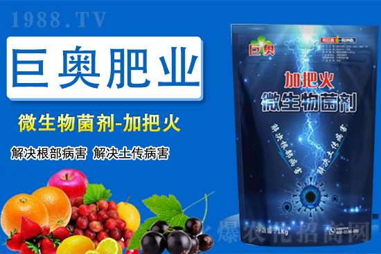 ���ފW�ʘI(y��)��ף������µ�һ�껢��������Ц�ڳ��_��ؔԴ�V�M��