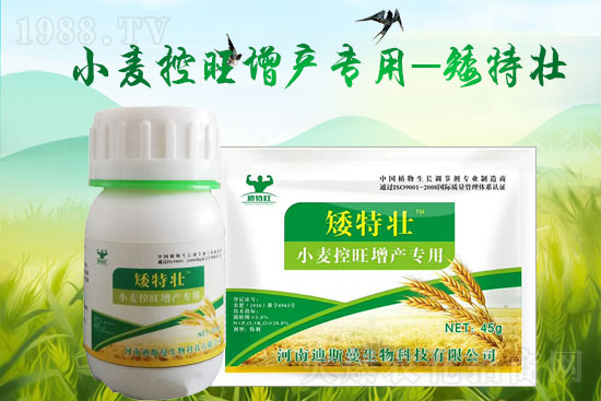 ����˹�����o��Ұ�������ף���2022�껢������H�Қg��������(ji��)�옷��