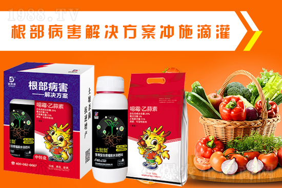 ����˹�����o��Ұ�������ף���2022�껢������H�Қg��������(ji��)�옷��