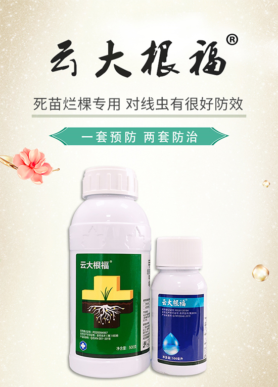 ����̖(h��o)�r(n��ng)�I(y��)��ף������옷�����w�������f���������I(y��)�гɣ�