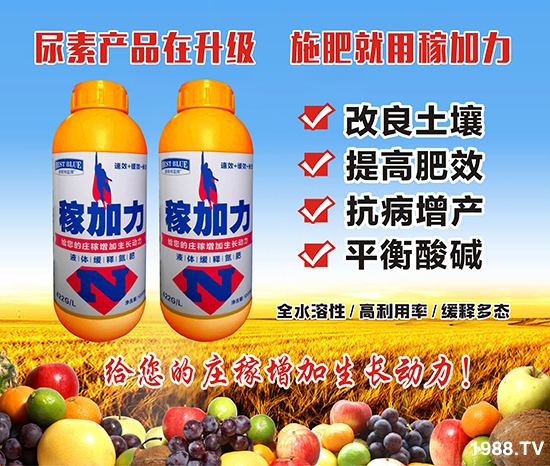 ����˹�ء�ף���т�����옷���f��������֥���_����(ji��)��(ji��)����