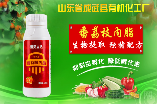 ���ЙC(j��)�����S��ף������������������µ�һ�����չ��D��