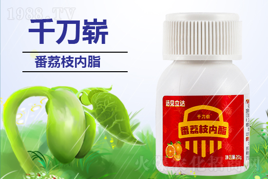 ���ЙC(j��)�����S��ף������������������µ�һ�����չ��D��