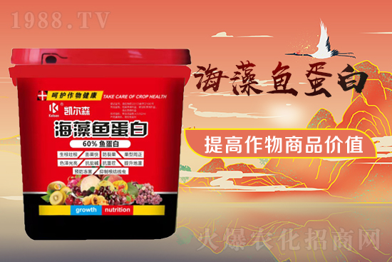 ������Ƽ�����ף���т���������������µ�һ�����չ��D��