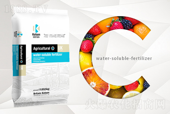 ������Ƽ�����ף���т�������������µ�һ�����չ��D��