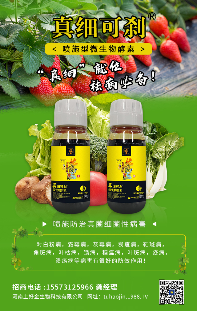 ���������ý�ףȫ���r(n��ng)�Y��(j��ng)�N�����т�2022����옷�������d¡���f�����⣡