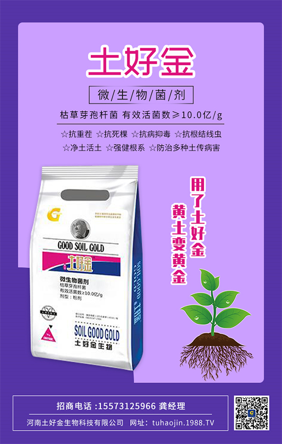 ���������ý�ףȫ���r(n��ng)�Y��(j��ng)�N�����т�2022����옷�������d¡���f�����⣡