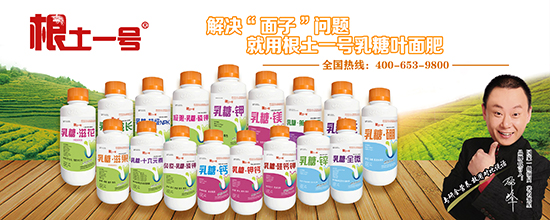 ����һ̖(h��o)