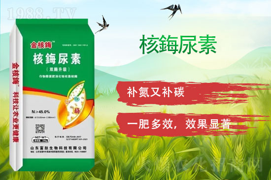 ���ڿ�����ø��ף���т�����옷(l��)�����w������ǰ�����\���������M(m��n)��