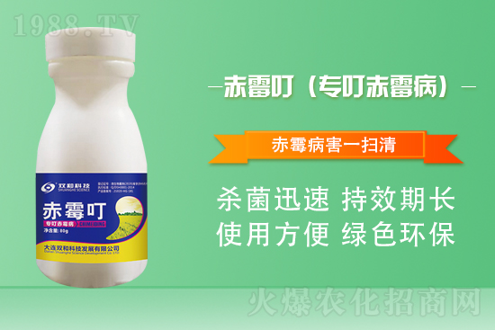 ���������������B�p�ͿƼ��ٺ�1988.TV������(chu��ng)���x����