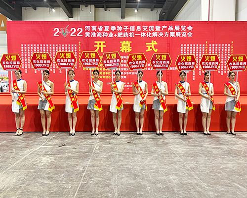 �����]�����Ĵ������������L(f��ng)�ɱM�@��