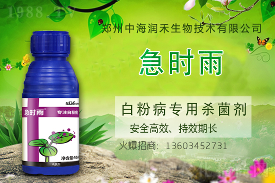 小麥殺菌劑