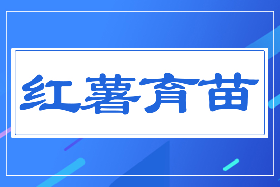 �t������