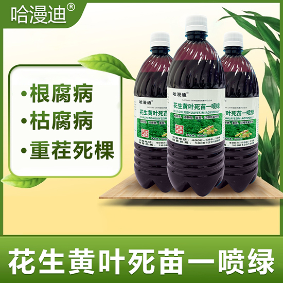 �����S�~����һ���G-�ο�ֲ��2