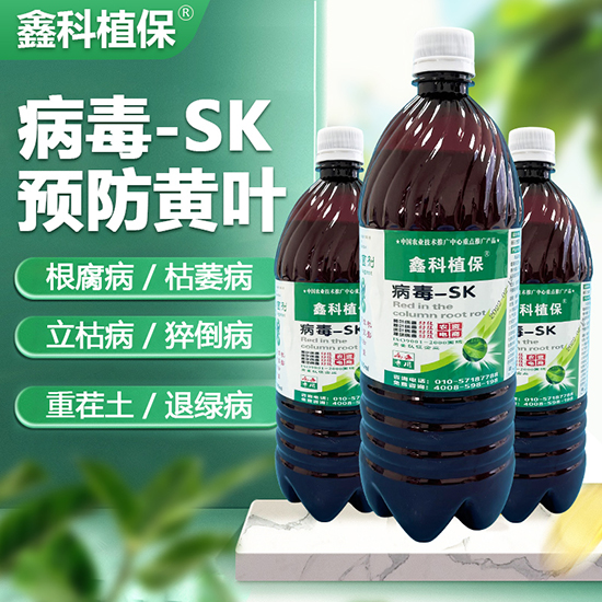 ����-SK-�ο�ֲ��2