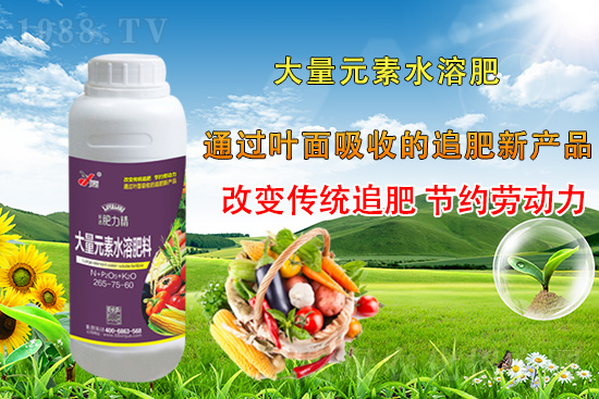 作物落花落果、座果低不用急！激發(fā)潛能，促花座果的秘訣在這！