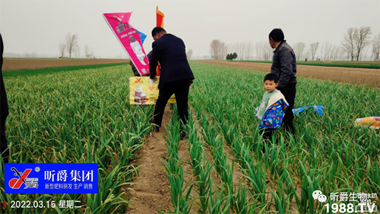 作物落花落果、座果低不用急！激發(fā)潛能，促花座果的秘訣在這！