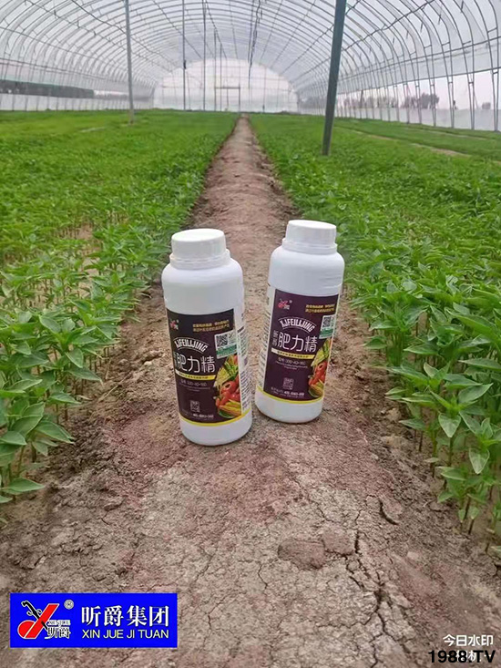 作物落花落果、座果低不用急！激發(fā)潛能，促花座果的秘訣在這！