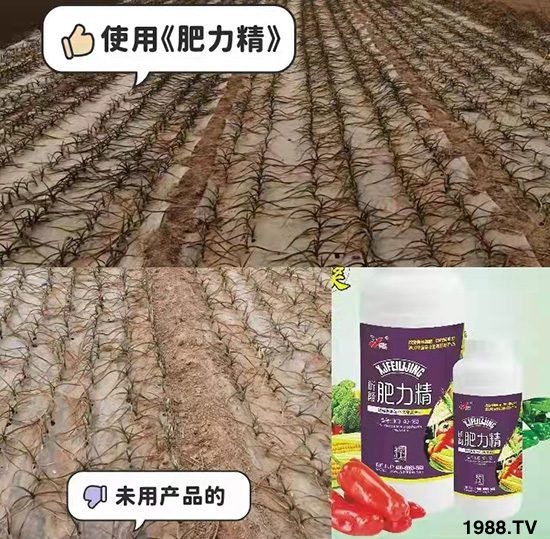 作物落花落果、座果低不用急！激發(fā)潛能，促花座果的秘訣在這！