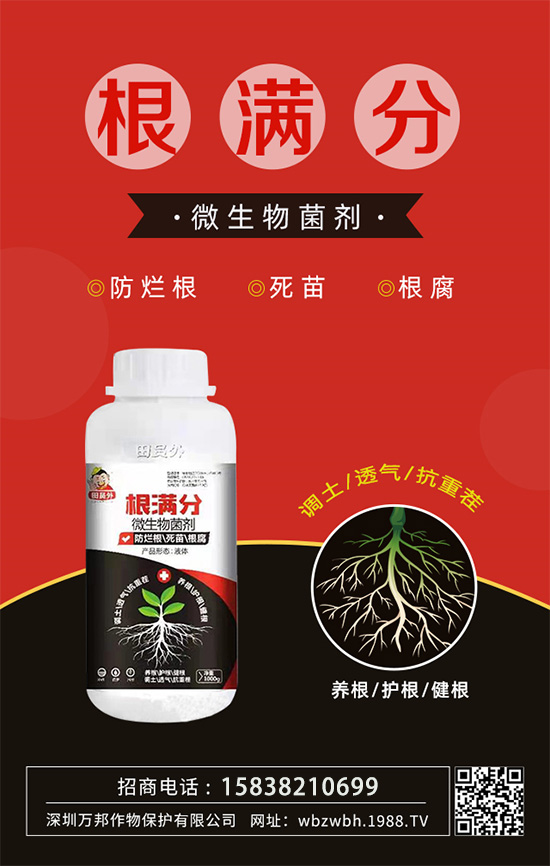 作物死苗爛根多，發(fā)育不良怎么辦！如何拯救作物根系？