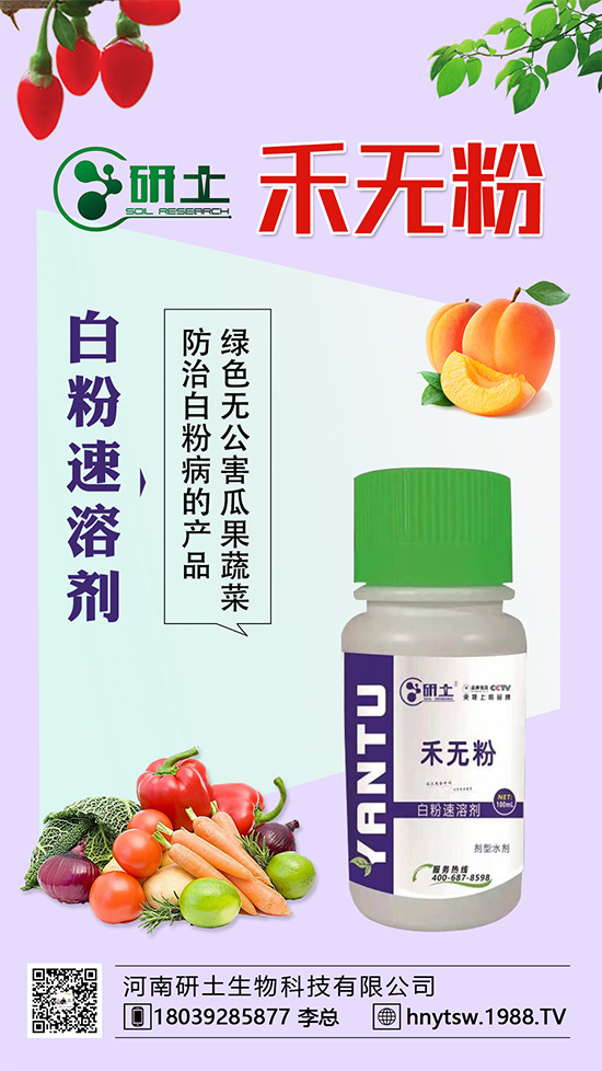 葡萄白粉病即將爆發(fā)！如何巧妙分辨白粉??？