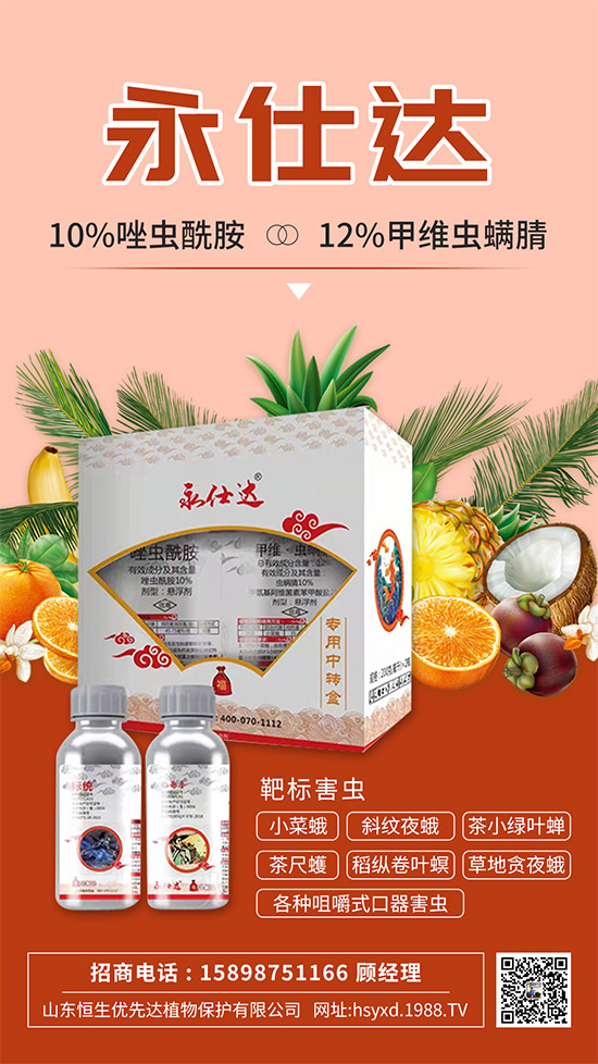 小菜蛾為何防治難？小菜蛾危害癥狀及防治措施！