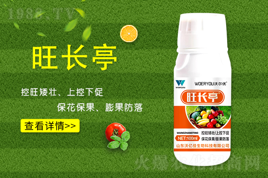 什么是黃瓜旺長？黃瓜旺長的防控措施