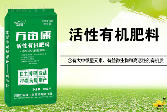 大豆高產(chǎn)施什么肥？如何施肥能增效？