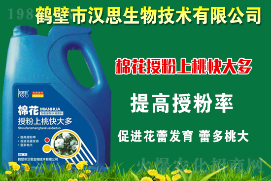 棉花種植怎么管理？棉花各生長期管理要點(diǎn)