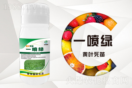 大棚蔬菜育苗為什么容易死苗？怎么解決？