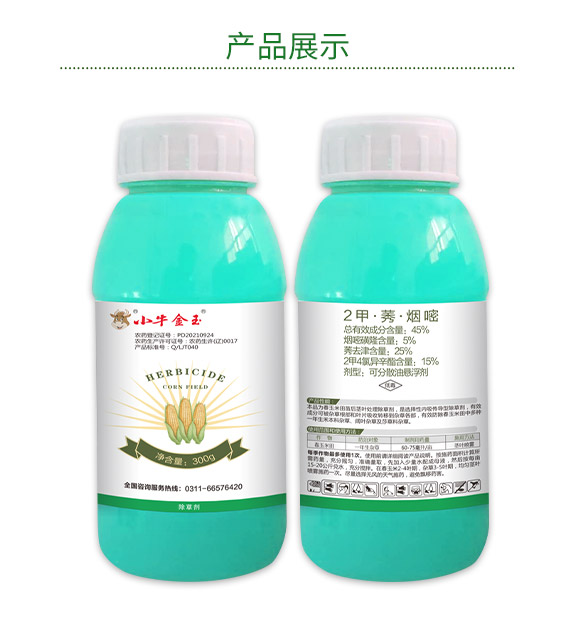 �ӱ������r�I(y��)�Ƽ����޹�˾910058_05