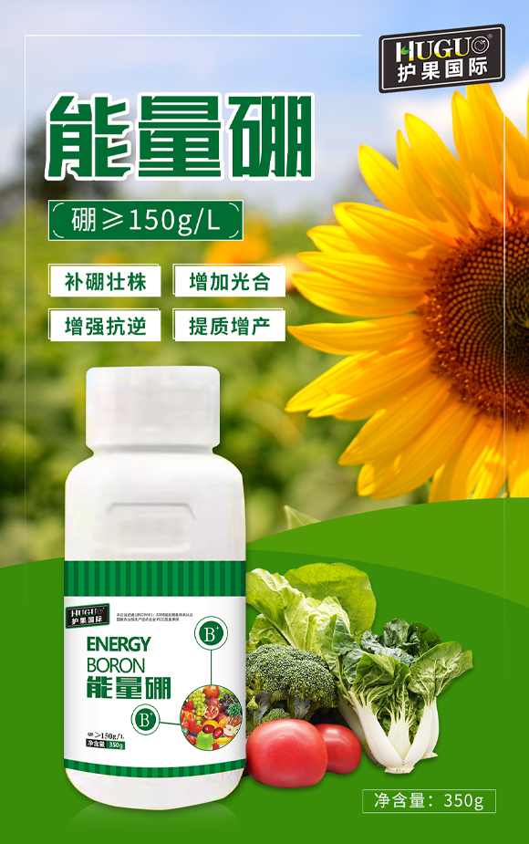 �o(h��)����(gu��)�H855863_01