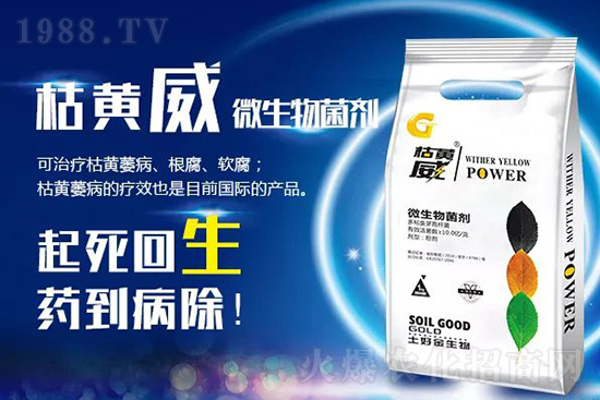 ���Sή�����ݵȲ������Ӝ皢�������͉�����