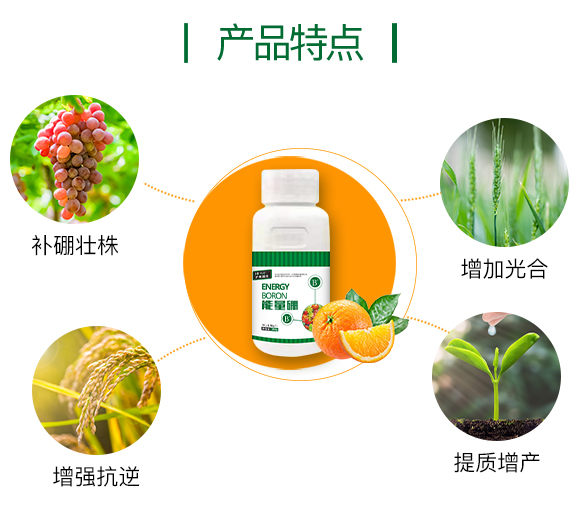 �o(h��)����(gu��)�H855863_03