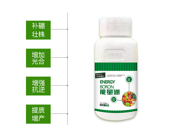 �o(h��)����(gu��)�H855863_02