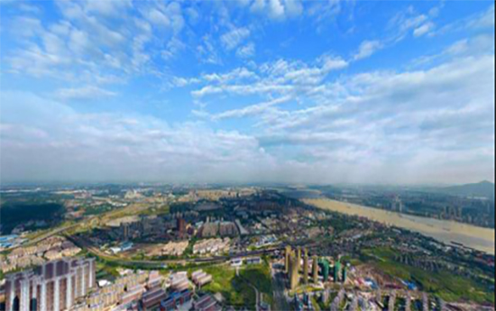 ȥ����2022ȫ��ֲ����(hu��)��������Щُ����c(di��n)