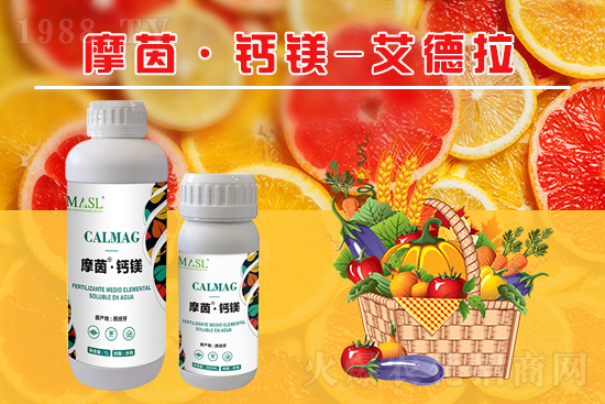 ����(sh��)�a(b��)�}�S���ځ�(l��i)�ˣ�����a(b��)���}�V����