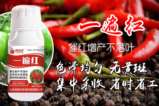 �����߼t��ʩ��ô�������������ǰ�����������߼tˎʲô�r(sh��)���ã�