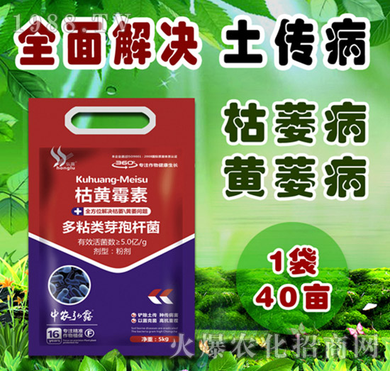     細(xì)菌性病害有哪些？防治藥劑怎么選？一篇文章說明白