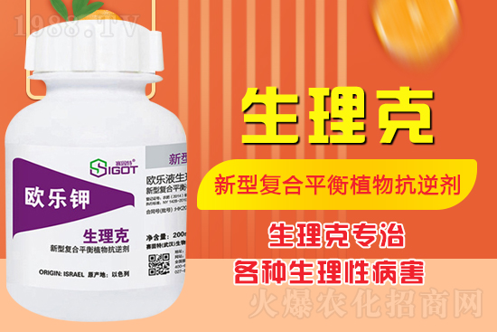 番茄臍腐病有什么癥狀？怎么解決番茄臍腐??？