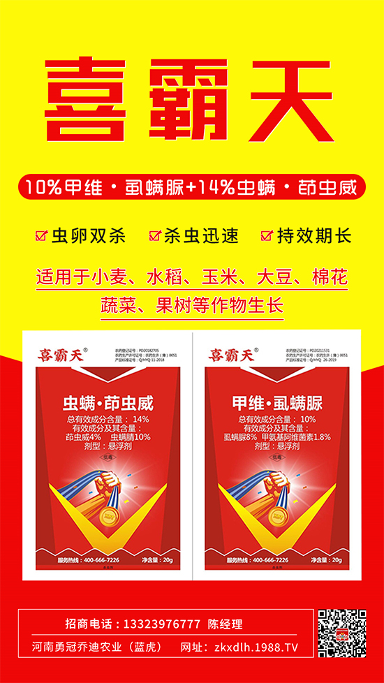小菜蛾、菜青蟲危害重太難打？這樣用藥！一打一個準!