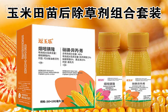 玉米除草劑怎么打才又有效？