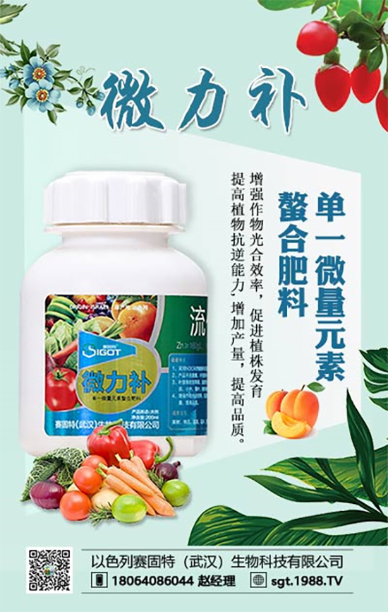 防治果樹小葉、黃葉病，專家有妙招！