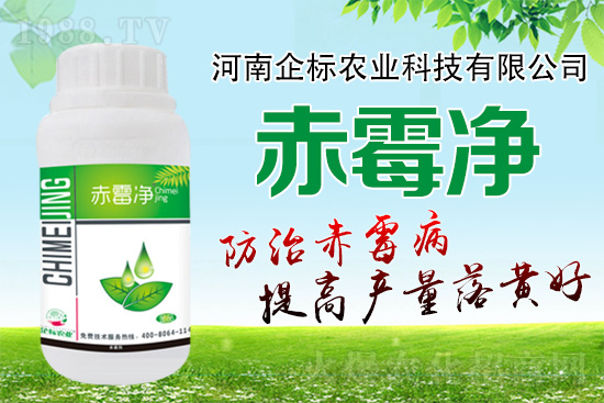 緊急提醒：未來十天是小麥赤霉病防治關(guān)鍵期！務(wù)必抓住！