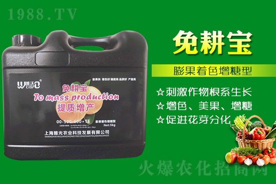 ���Ѵ߼t��ʩ��ô������ʲô������