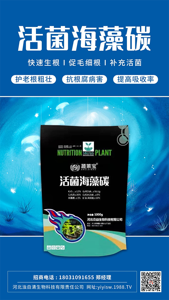 �@���Ǹ��õ�����䷽������������������ɫ������