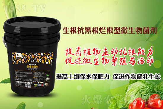 作物黑根爛根、黃苗弱苗頻發(fā)？用“它”輕松解決！百萬種植戶都在用！