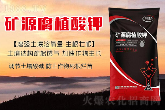 ����Nֲ��������(d��ng)�ׂ��������Ӹ��Ƹ�ϵ��r����