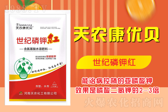 ���������ʲô���������˽����